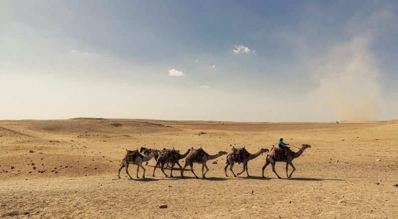 Paseo en camello por el desierto de Asuán y monasterio de San Simeón