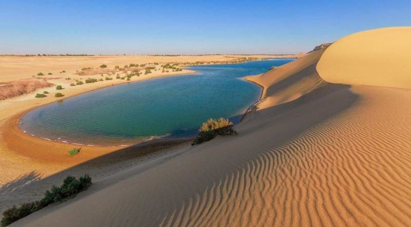 Valle de las Ballenas (Wadi el Hitan) y Wadi el Rayan desde El Cairo