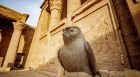 Excursión privada a Edfu y Kom Ombo desde Asuán