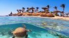 Excursión de snorkel en barco desde Port Ghalib, en Marsa Alam