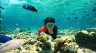 Excursión de snorkel en barco desde Port Ghalib, en Marsa Alam