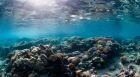 Excursión en submarino en Hurghada